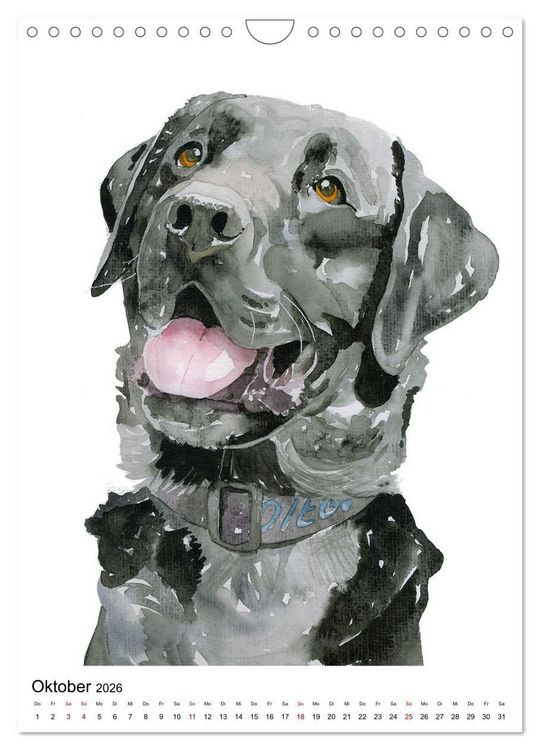 Produktbild: Hunde Portr&auml;ts in Aquarell (Wandkalender 2026 DIN A4 hoch), CALVENDO Monatskalender