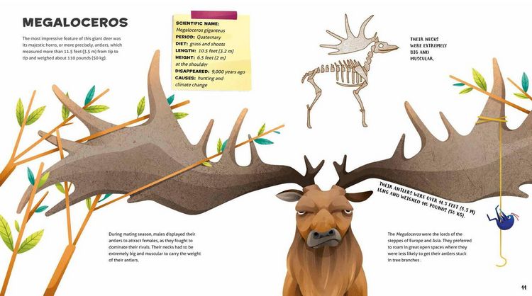 Produktbild: Weird and Wonderful Extinct Animals