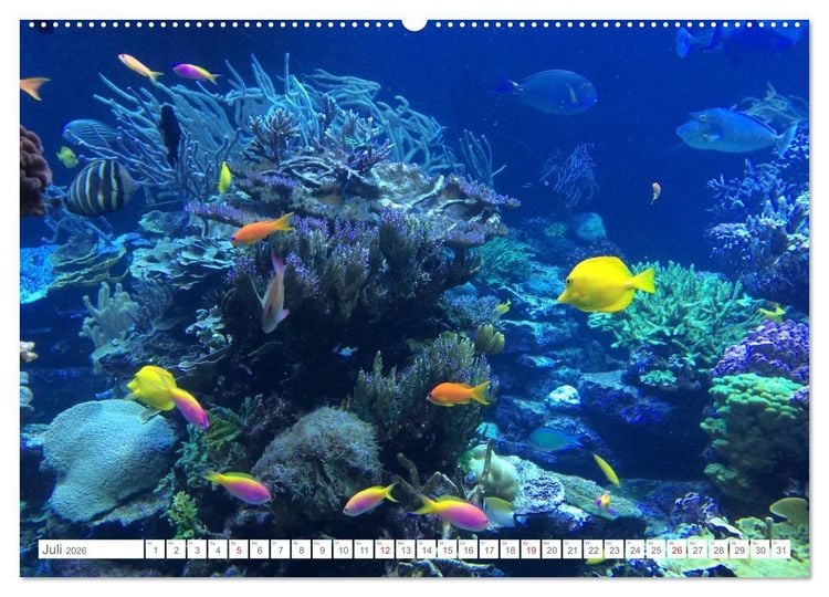 Produktbild: Malediven - Traumstr&auml;nde im Paradies (hochwertiger Premium Wandkalender 2026 DIN A2 quer), Kunstdruck in Hochglanz