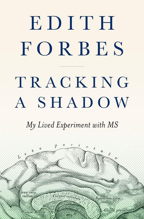 Produktbild: Tracking a Shadow