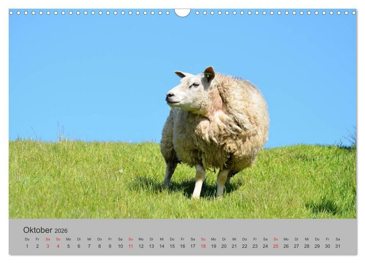Produktbild: Impressionen von Texel (Wandkalender 2026 DIN A3 quer), CALVENDO Monatskalender