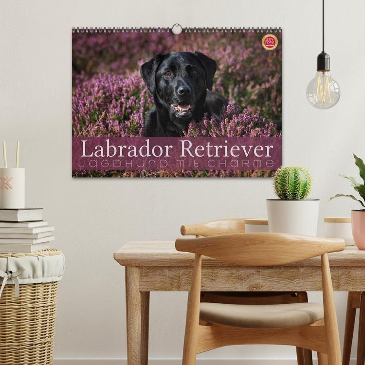 Produktbild: Labrador Retriever - Jagdhund mit Charme (Wandkalender 2026 DIN A3 quer), CALVENDO Monatskalender