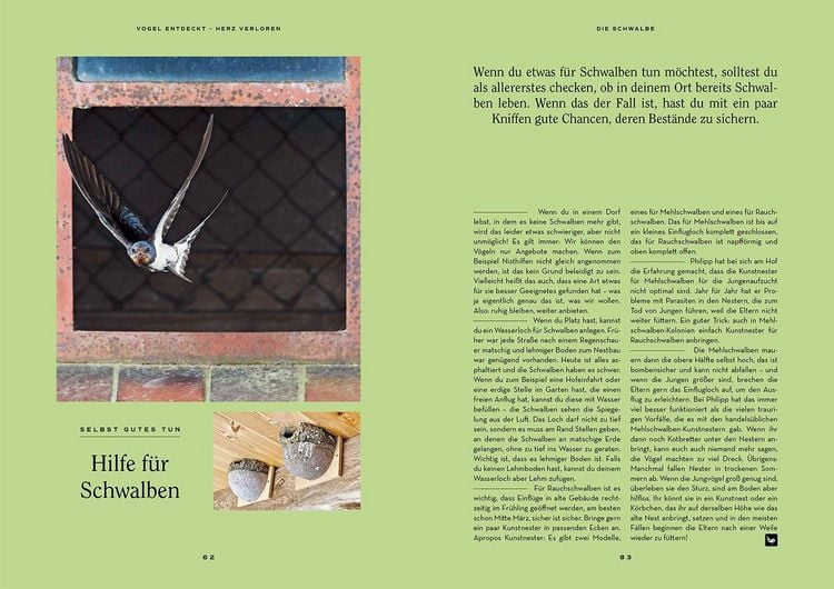 Produktbild: Vogel entdeckt - Herz verloren