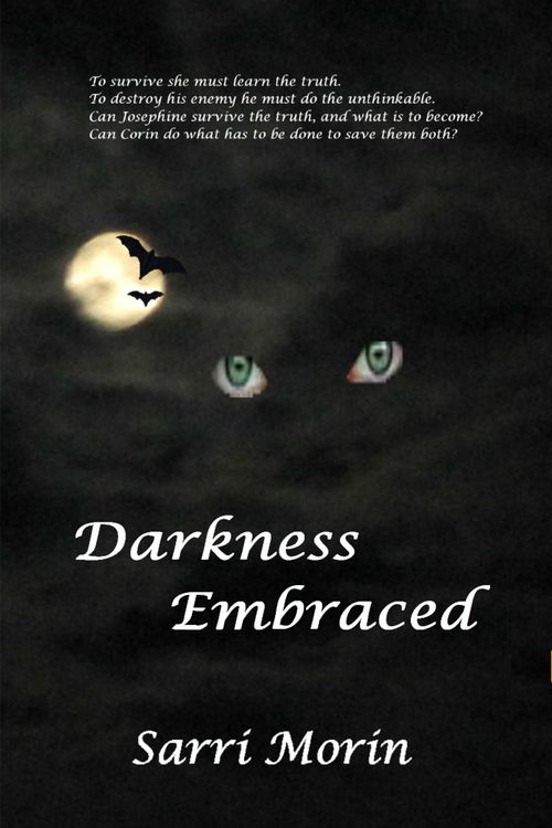 Produktbild: Darkness Embraced