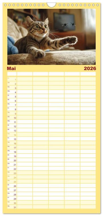 Produktbild: Familienplaner 2026 - Momente eines Katzenbesitzers - Chaos der Samtpfoten mit 5 Spalten (Wandkalender, 21 x 45 cm) CALVENDO