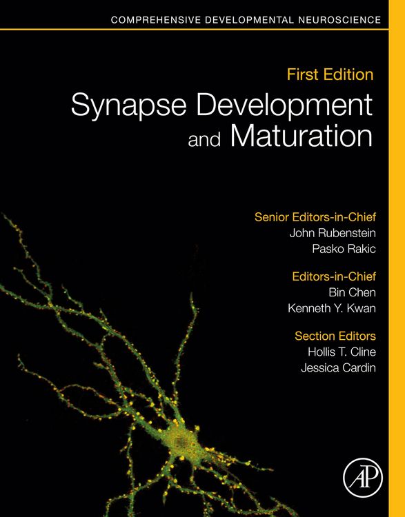 Produktbild: Synapse Development and Maturation