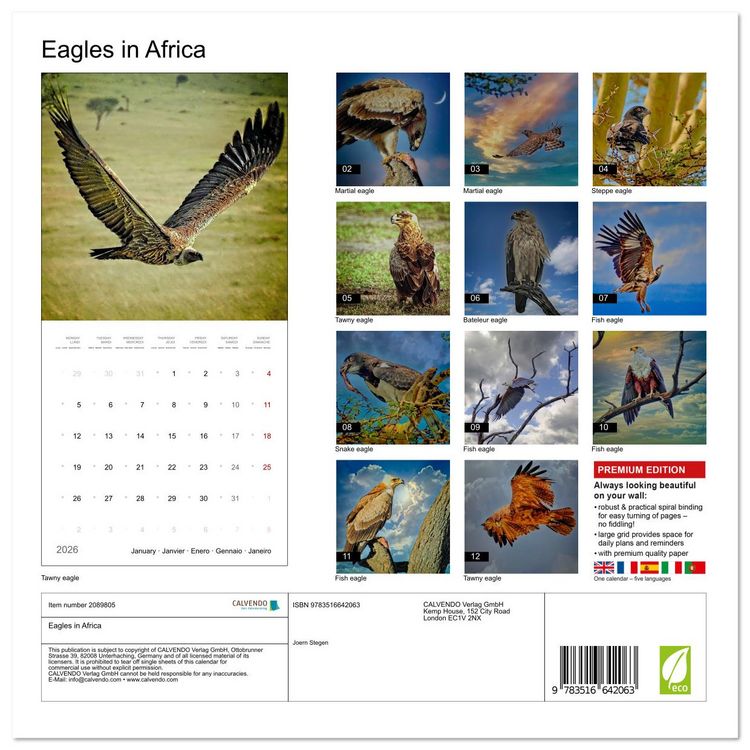Produktbild: Eagles in Africa (Wall Calendar 2026 12 &times; 12 Inch) CALVENDO 12 Month Wall Calendar