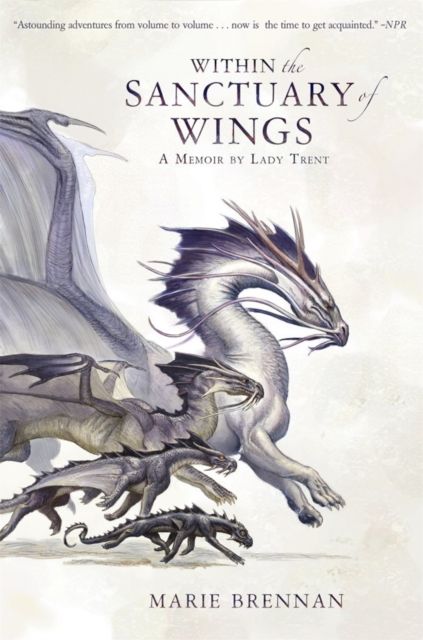 Produktbild: Within the Sanctuary of Wings