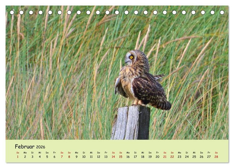 Produktbild: Faszination Zugv&ouml;gel - Rekorde in der Vogelwelt (Tischkalender 2026 DIN A5 quer), CALVENDO Monatskalender