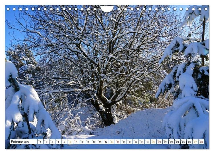 Produktbild: 12 Monate Natur (Wandkalender 2027 DIN A4 quer), CALVENDO Monatskalender