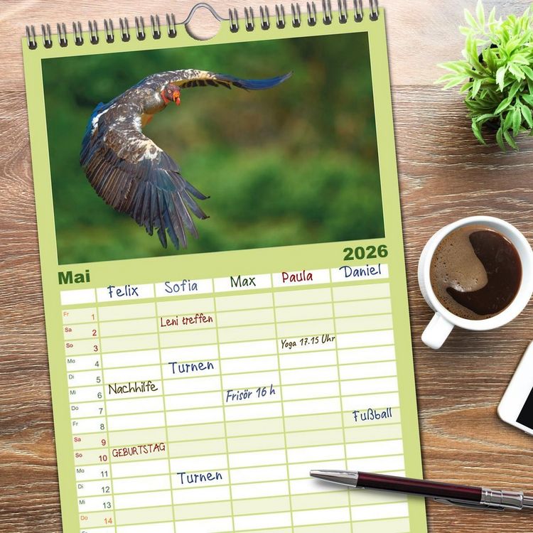 Produktbild: Familienplaner 2026 - Costa Ricas gefiederte Pracht mit 5 Spalten (Wandkalender, 21 x 45 cm) CALVENDO
