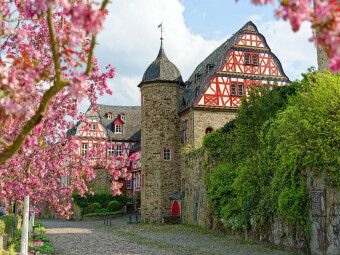 Produktbild: CALVENDO Puzzle Spektakul&auml;re Bl&uuml;tenpracht an der historischen Burganlage in Idstein | 1000 Teile Lege-Gr&ouml;&szlig;e 64x48cm Foto-Puzzle f&uuml;r gl&uuml;ckliche Stunden
