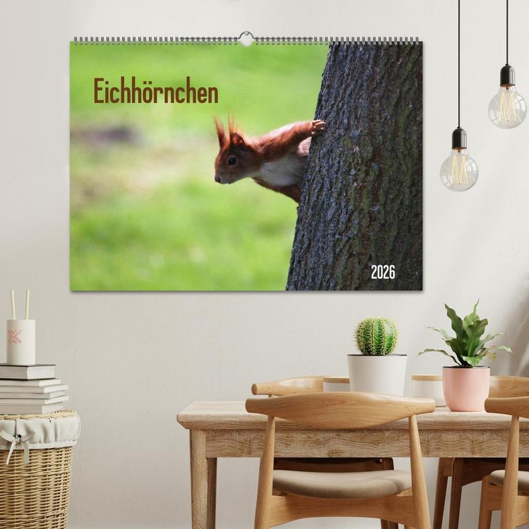 Produktbild: Eichh&ouml;rnchen (Wandkalender 2026 DIN A2 quer), CALVENDO Monatskalender