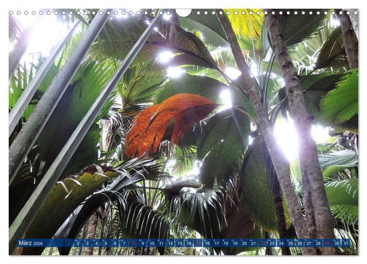 Produktbild: Seychellen - Wild und Sch&ouml;n (Wandkalender 2026 DIN A3 quer), CALVENDO Monatskalender