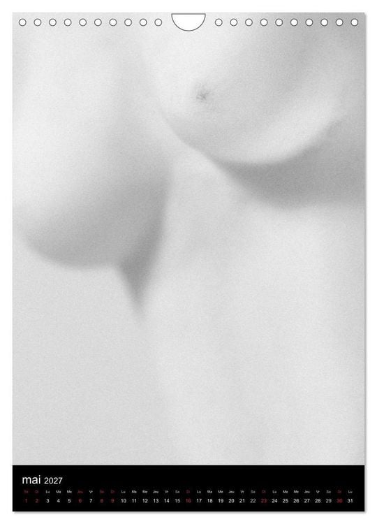 Produktbild: F&eacute;minit&eacute; (Calendrier mural 2027 DIN A4 horizontal), CALVENDO calendrier mensuel