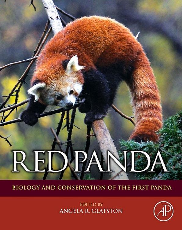Produktbild: Red Panda