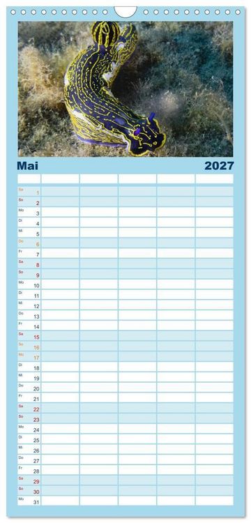 Produktbild: Familienplaner 2027 - Faszination blaue Unterwasserwelt mit 5 Spalten (Wandkalender, 21 x 45 cm) CALVENDO