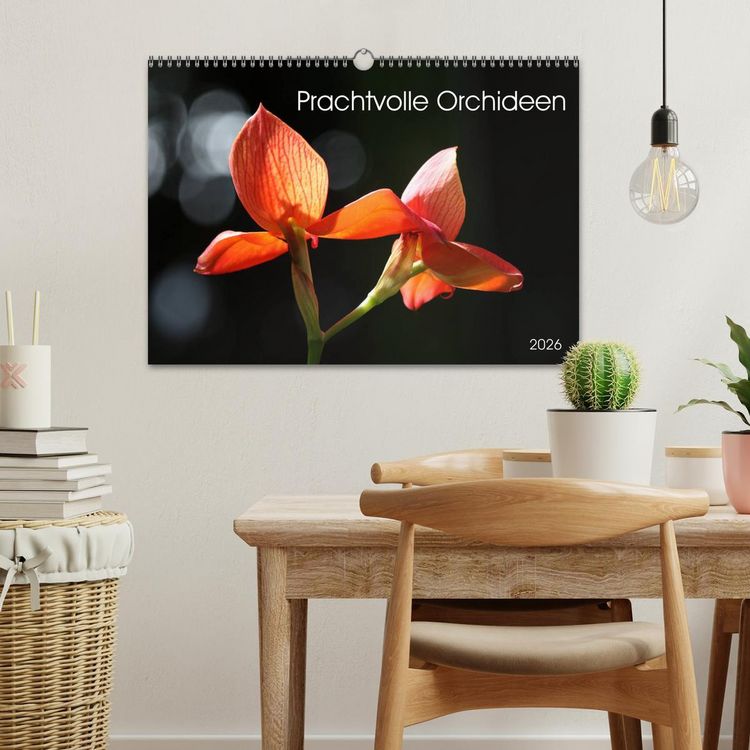 Produktbild: Prachtvolle Orchideen (Wandkalender 2026 DIN A3 quer), CALVENDO Monatskalender