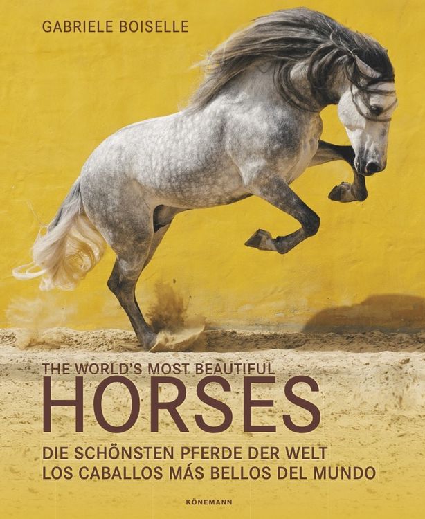 Produktbild: The World's Most Beautiful Horses