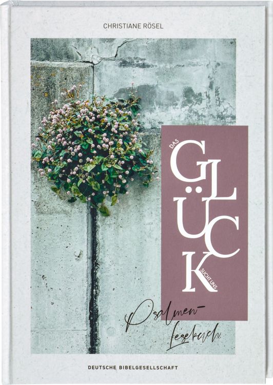 Produktbild: Das Gl&uuml;ck sucht uns. Psalmen-Lesebuch. Mit christlicher Spiritualit&auml;t Kraft finden: Psalmen und biblische Texte neu entdecken. Bibelverse zum Nachdenken