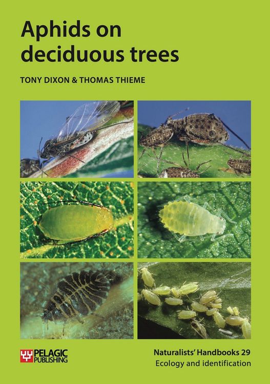 Produktbild: Aphids on deciduous trees