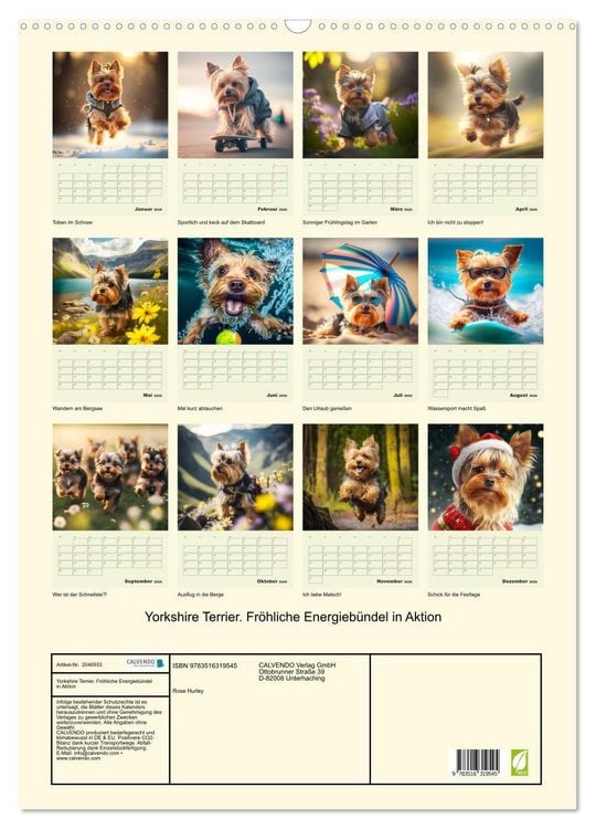 Produktbild: Yorkshire Terrier. Fr&ouml;hliche Energieb&uuml;ndel in Aktion (Wandkalender 2026 DIN A2 hoch), CALVENDO Monatskalender