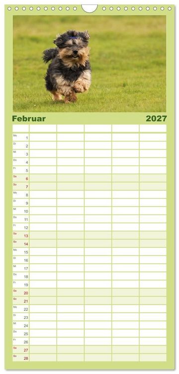 Produktbild: Familienplaner 2027 - Havaneser - Wirbelwinde aus Kuba mit 5 Spalten (Wandkalender, 21 x 45 cm) CALVENDO