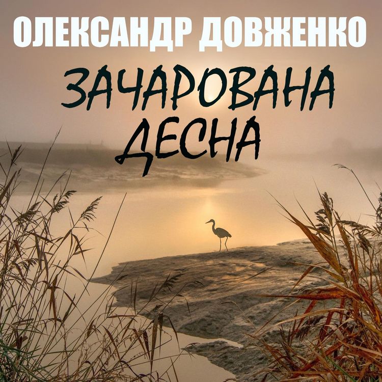 Produktbild: Zacharovana Desna