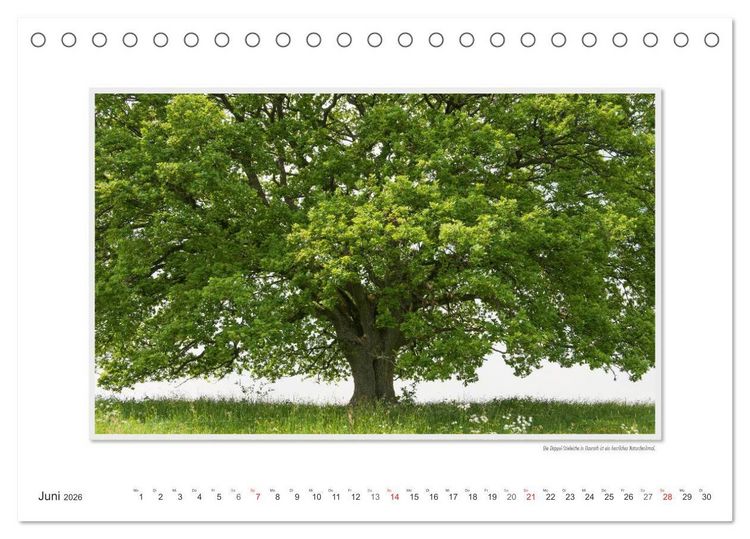 Produktbild: Emotionale Momente: Altenkirchen - der lebenswerte Landkreis im Norden des Westerwaldes. (Tischkalender 2026 DIN A5 quer), CALVENDO Monatskalender