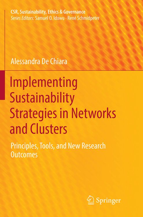 Produktbild: Implementing Sustainability Strategies in Networks and Clusters