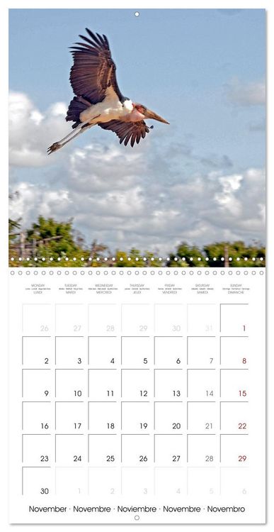 Produktbild: Destination Lamu (Wall Calendar 2026 12 &times; 12 Inch) CALVENDO 12 Month Wall Calendar