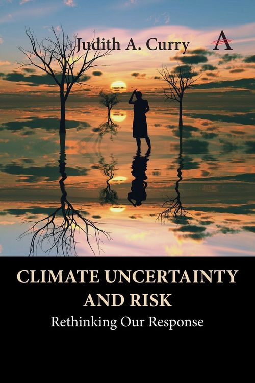 Produktbild: Climate Uncertainty and Risk