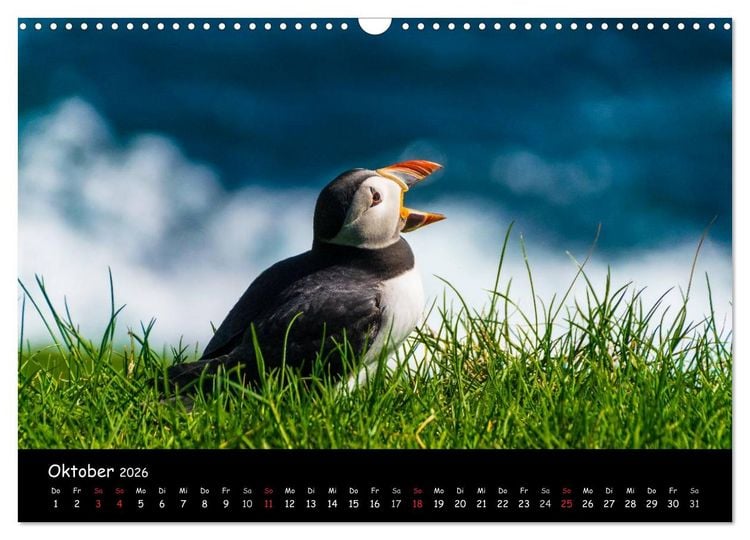 Produktbild: Die Papageientaucher von Mykines (Wandkalender 2026 DIN A3 quer), CALVENDO Monatskalender
