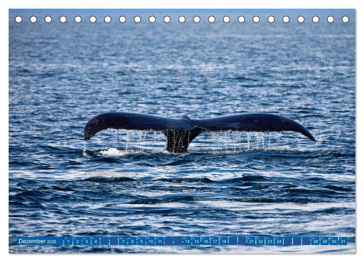 Produktbild: Von Vancouver nach Alaska (Tischkalender 2026 DIN A5 quer), CALVENDO Monatskalender