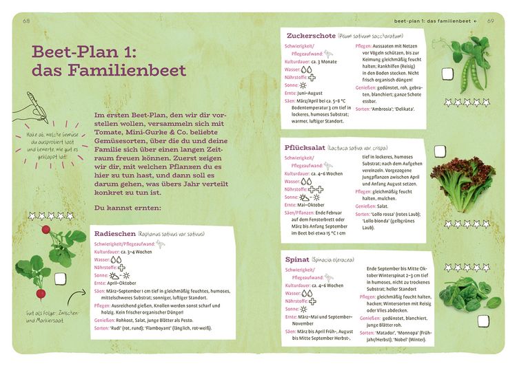 Produktbild: Dein Projekt. Dein Guide. G&auml;rtnern mit Hochbeet