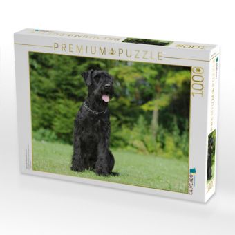 Produktbild: CALVENDO Puzzle Sitzender Riesenschnauzer | 1000 Teile Lege-Gr&ouml;&szlig;e 64x48cm Foto-Puzzle f&uuml;r gl&uuml;ckliche Stunden