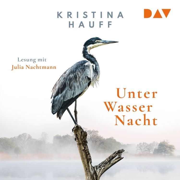 Bild vom Artikel Unter Wasser Nacht vom Autor Kritina Hauff