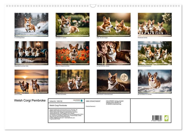 Produktbild: Welsh Corgi Pembroke (Wandkalender 2026 DIN A2 quer), CALVENDO Monatskalender
