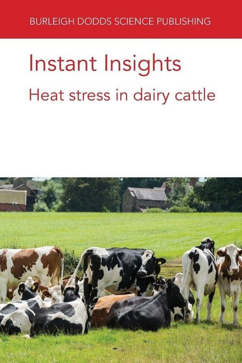 Produktbild: Instant Insights