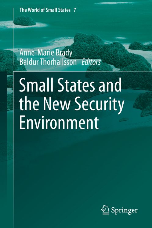 Produktbild: Small States and the New Security Environment