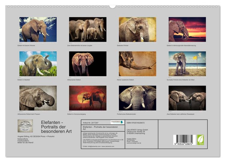 Produktbild: Elefanten - Portraits der besonderen Art (hochwertiger Premium Wandkalender 2026 DIN A2 quer), Kunstdruck in Hochglanz