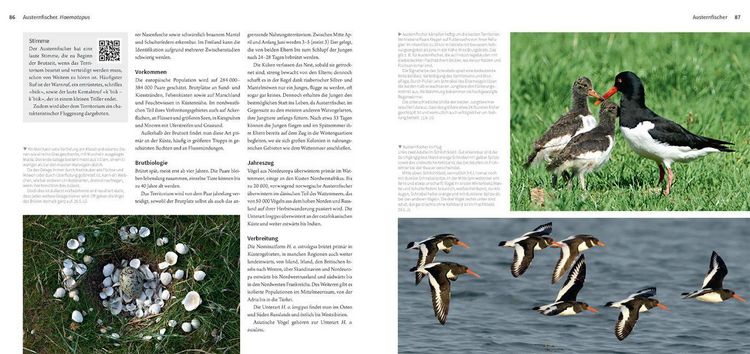Produktbild: Die Watv&ouml;gel Europas