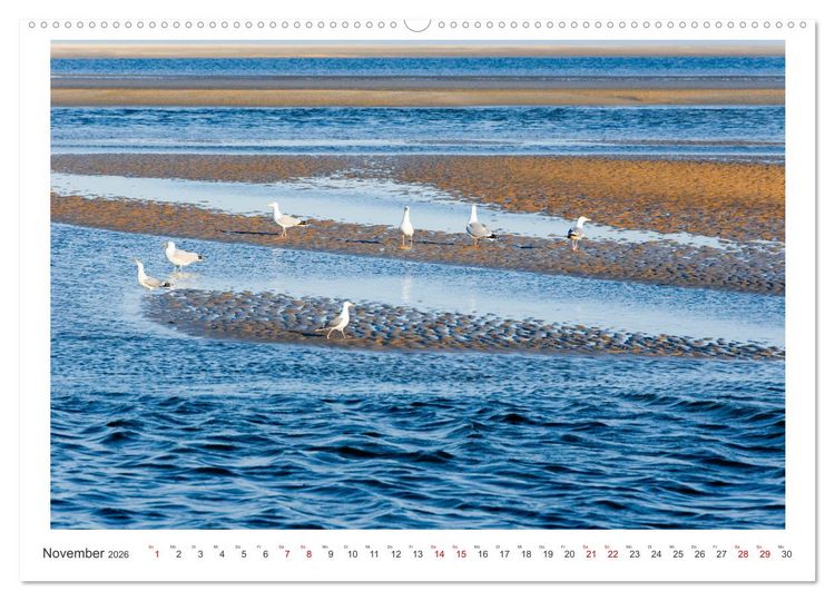 Produktbild: Buntes und bl&uuml;hendes Borkum (hochwertiger Premium Wandkalender 2026 DIN A2 quer), Kunstdruck in Hochglanz