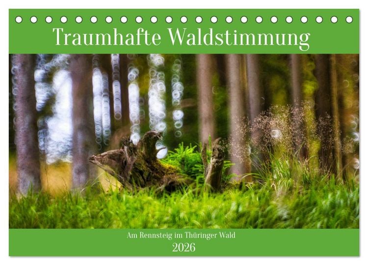 Produktbild: Traumhafte Waldstimmung am Rennsteig im Th&uuml;ringer Wald (Tischkalender 2026 DIN A5 quer), CALVENDO Monatskalender