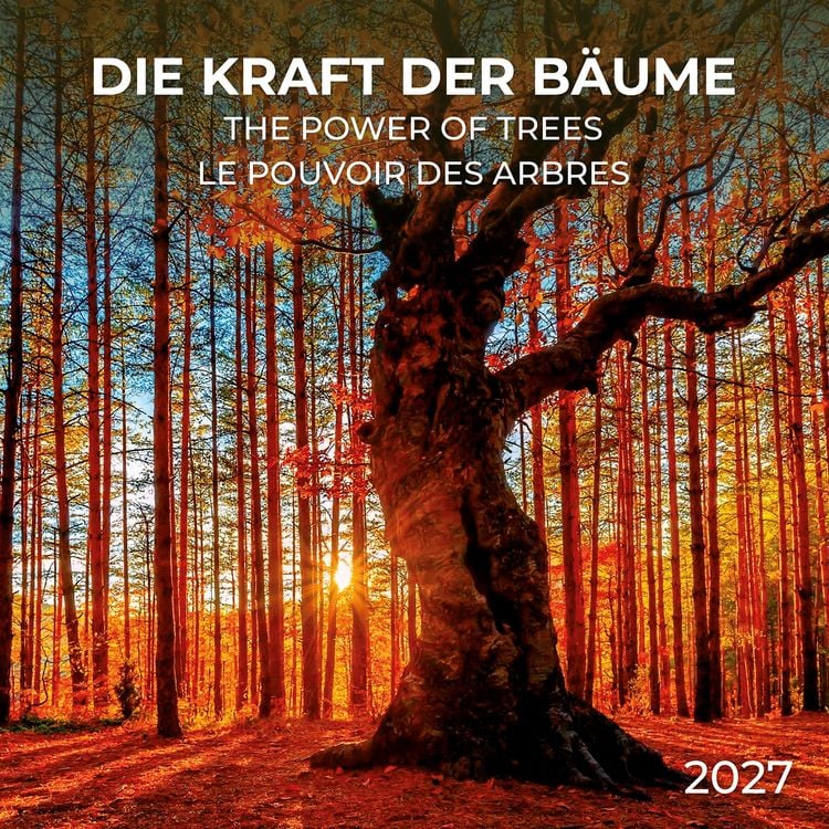 Produktbild: Die Kraft der B&auml;ume / The Power of Trees 2027