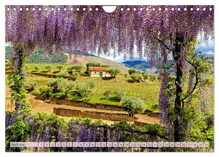 Produktbild: Von Porto bis an die Algarve (Wandkalender 2026 DIN A4 quer), CALVENDO Monatskalender