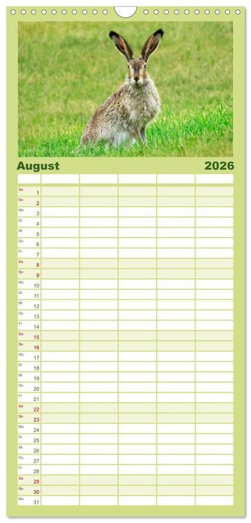 Produktbild: Familienplaner 2026 - Feldhasen und Kaninchen mit 5 Spalten (Wandkalender, 21 x 45 cm) CALVENDO