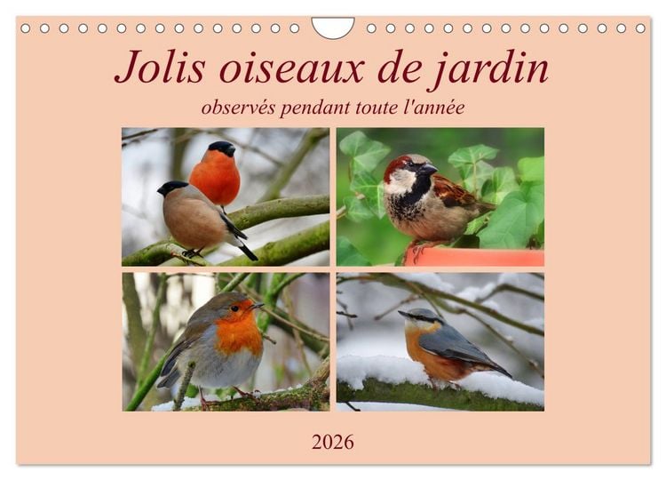 Produktbild: Jolis oiseaux de jardin (Calendrier mural 2026 DIN A4 vertical), CALVENDO calendrier mensuel