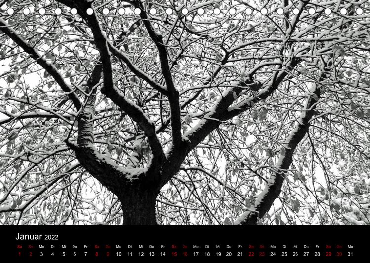 Produktbild: SchwarzWeiss gesehen (Tischkalender 2022 DIN A5 quer)