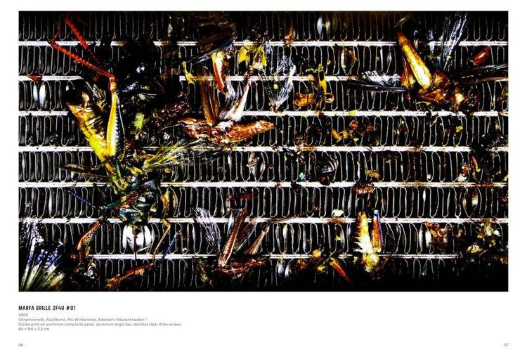 Produktbild: Rolf Walz. Blind Spot Bias